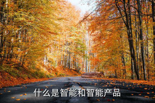 什么是智能產(chǎn)品，智能產(chǎn)品數(shù)碼產(chǎn)品電子產(chǎn)品它們有什么區(qū)別