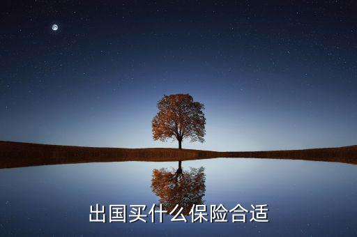 什么保險(xiǎn)長(zhǎng)期在國(guó)外有用，什么保險(xiǎn)有去國(guó)外玩的保障啊