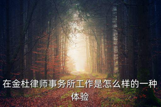 白彥春為什么離開金杜，在金杜律師事務所工作是怎么樣的一種體驗