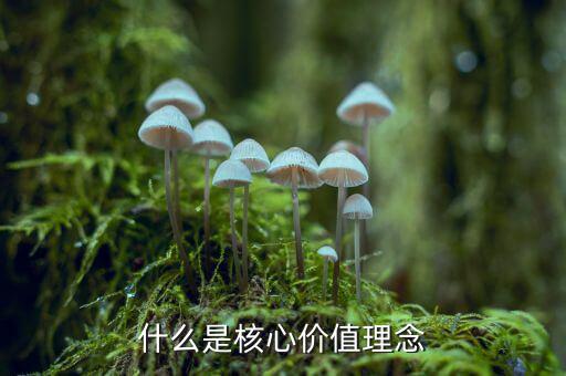什么是核心價(jià)值理念，什么是核心價(jià)值理念