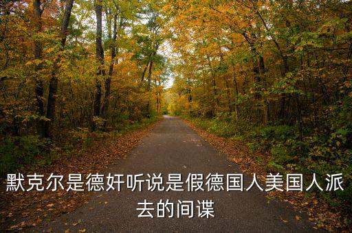 默克爾賭什么，默克爾是德奸聽說是假德國人美國人派去的間諜