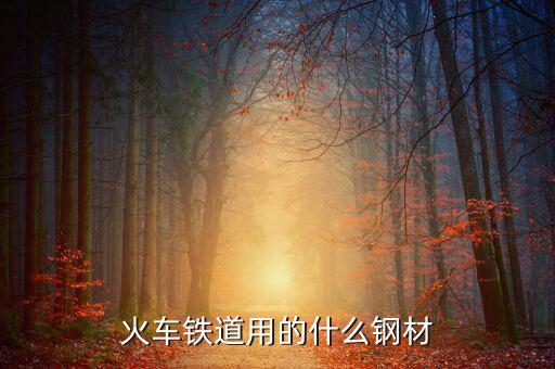 動車制造用的是什么鋼，火車鐵道用的什么鋼材
