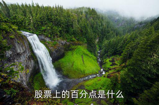 股份中的百分點(diǎn)是什么，在股票中百分點(diǎn)是指的什么