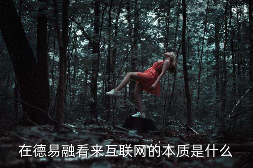 在德易融看來(lái)互聯(lián)網(wǎng)的本質(zhì)是什么