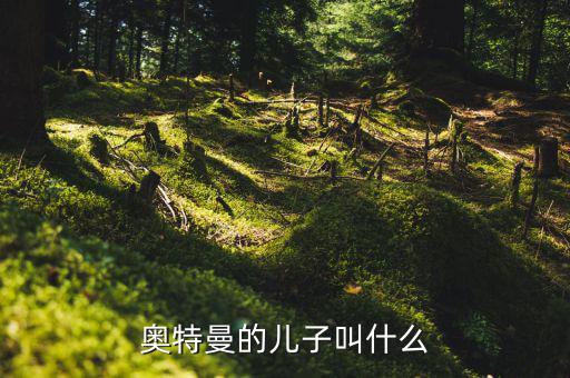 奧特佳老總兒子叫什么，奧特曼的兒子叫什么