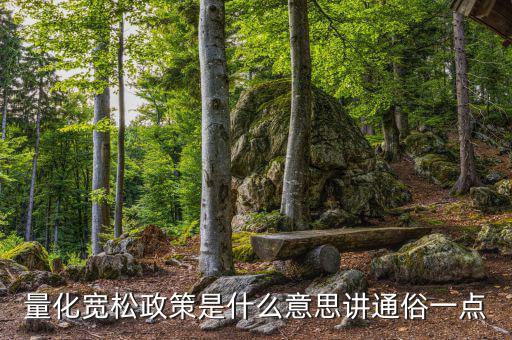 量化寬松政策是什么意思，什么叫做量化寬松政策