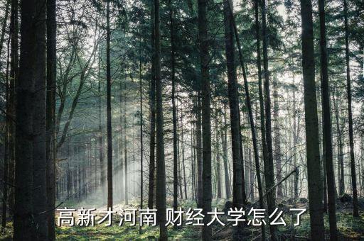 高新才河南 財經(jīng)大學怎么了