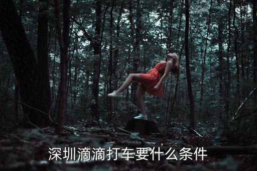 深圳交通滴滴有什么政策，申請(qǐng)深圳滴滴對(duì)司機(jī)有些什么要求嗎