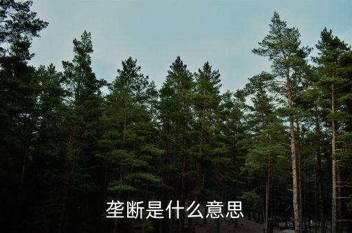 價(jià)格壟斷是什么意思，壟斷是什么意思