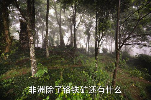 非洲有什么礦產(chǎn)資源，非洲哪些礦產(chǎn)豐富