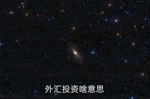 外匯融資是什么意思，外匯投資啥意思