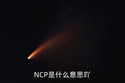 可比企業(yè)ncp是什么簡(jiǎn)稱(chēng)，NCP是什么意思吖