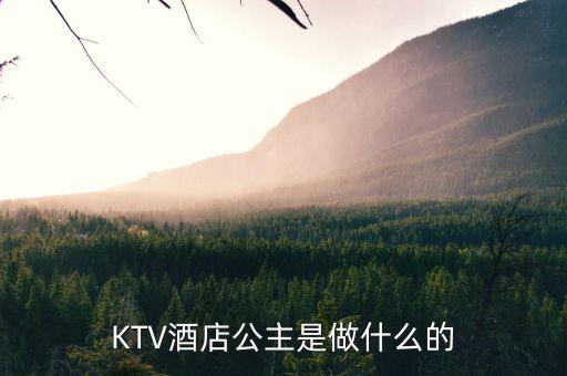 酒店出臺是干什么的，KTV酒店公主是做什么的