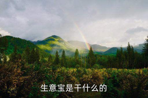 生意寶屬于什么版塊，生意寶聽說過嗎聽說能快速賺錢是真的假的
