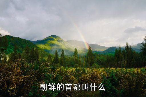 朝鮮總統(tǒng)府叫什么，朝鮮元首有專門的住所嗎有的話在哪