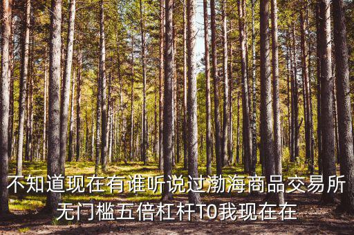 渤海商品多少倍杠桿是什么意思，專業(yè)做期貨的口中所謂幾倍杠桿幾倍杠桿到底是啥意思