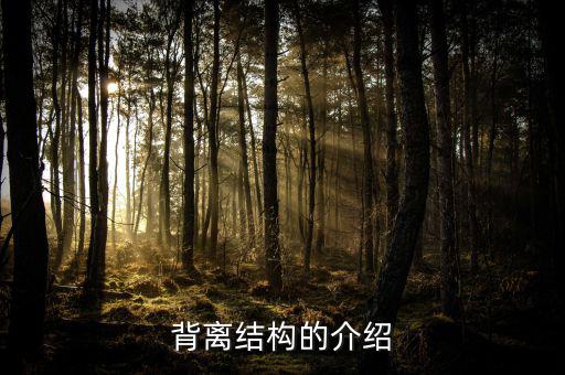 什么是帶結(jié)構(gòu)的背離，背離結(jié)構(gòu)的介紹