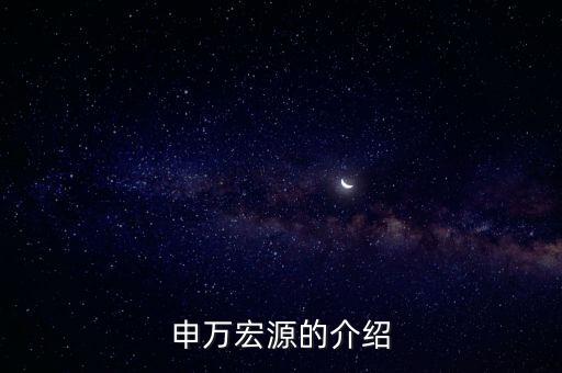 申萬(wàn)宏源的介紹