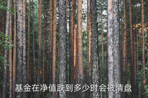 基金跌倒什么時(shí)候會(huì)停，基金什么時(shí)候不在跌