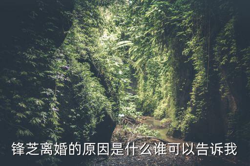 胡芝容為什么離婚，鋒芝戀離婚原因是為什么