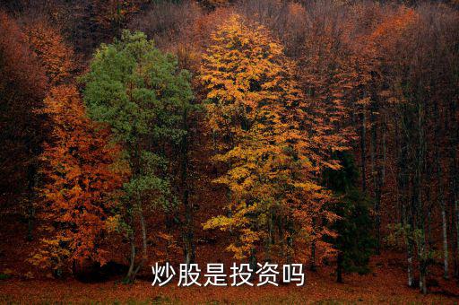 炒股算投資還是什么，炒股是投資嗎