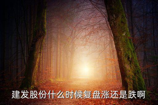 002719股什么時候復(fù)盤，000719什么時候復(fù)牌啊