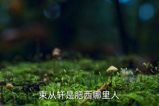 朱從玖肥西什么地方人，kimson肥西是哪里人