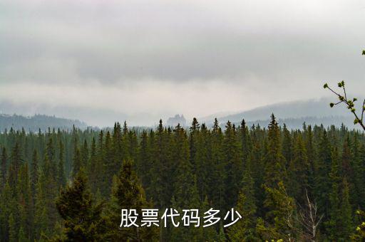b股代碼以什么開頭，a股和b股代碼怎樣區(qū)分