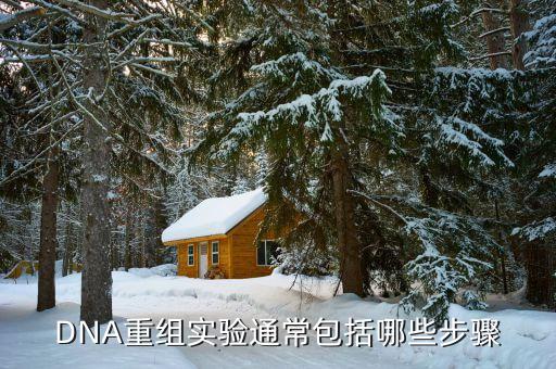 理工監(jiān)測重組什么，典型的DNA重組實驗通常包括哪些步驟