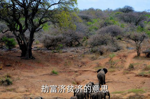 劫貧濟富是什么意思，劫富濟貧濟的意思
