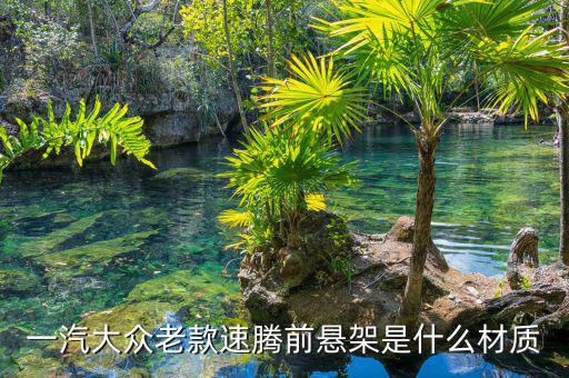 速騰懸掛是什么材質(zhì)，速騰前懸架下擺臂是什么材質(zhì)