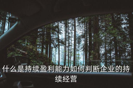什么是持續(xù)盈利能力，什么是具備持續(xù)贏利能力的行業(yè)