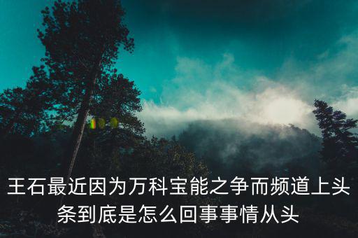 王石現(xiàn)在忙什么，王石現(xiàn)在在干什么