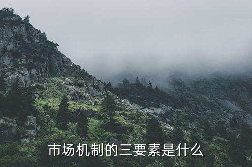 什么是市場三要素，構(gòu)成市場的三大要素是什么