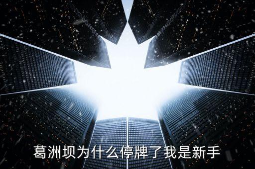 葛洲壩為什么停牌，葛洲壩為什么8月21日停牌