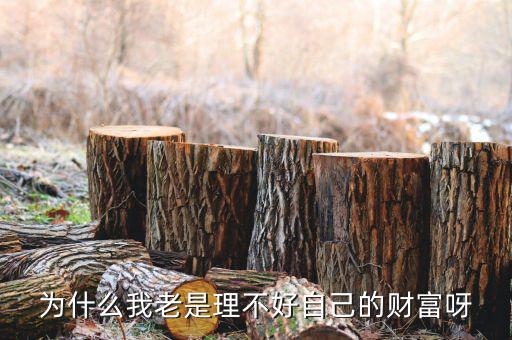 財富為什么不好說說理由，我?guī)蛣e人回答問題為什么說財富不足