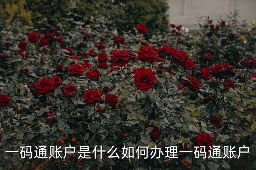 什么是一碼通賬戶，財達證券的一碼通賬戶是什么