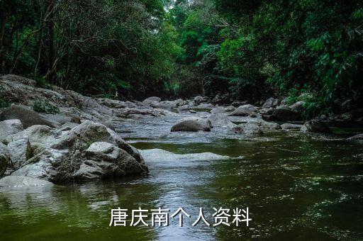 唐慶南為什么被逮捕，唐慶南被判刑