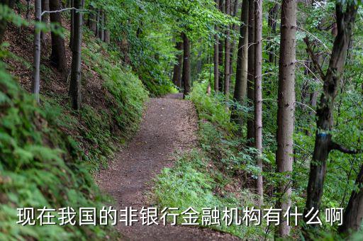 現(xiàn)在我國的非銀行金融機構(gòu)有什么啊