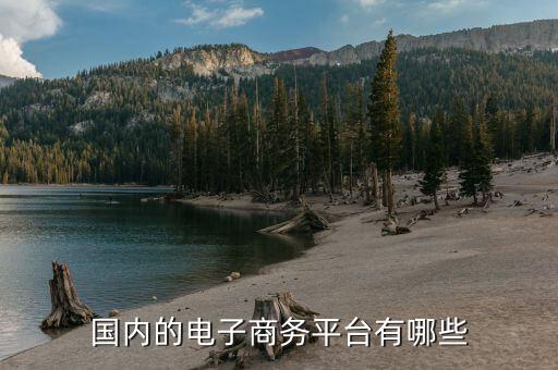 中俄電子商務(wù)用什么平臺，俄羅斯的電子商務(wù)網(wǎng)站哪個好