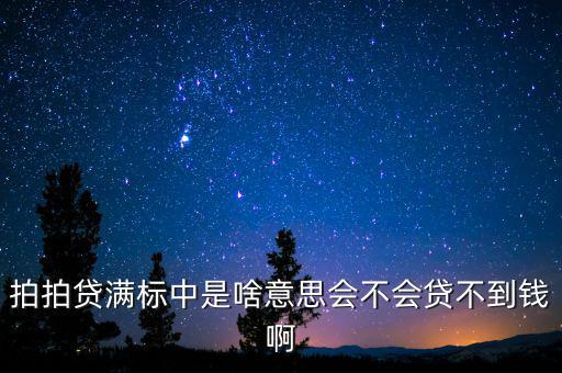 拍拍貨不滿標(biāo)什么意思，拍拍貸滿標(biāo)是什么意思