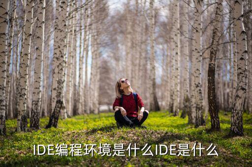 tltro是什么，虛擬內(nèi)存是什么玩意