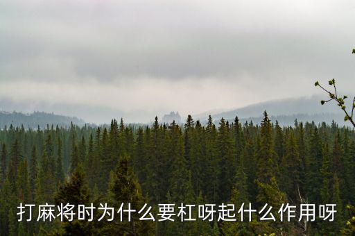 為什么要用杠桿，為什么有些杠桿要設(shè)計(jì)成費(fèi)力的呢