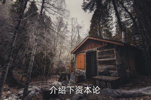 資本論是什么發(fā)表的，資本論 是馬克思寫的不