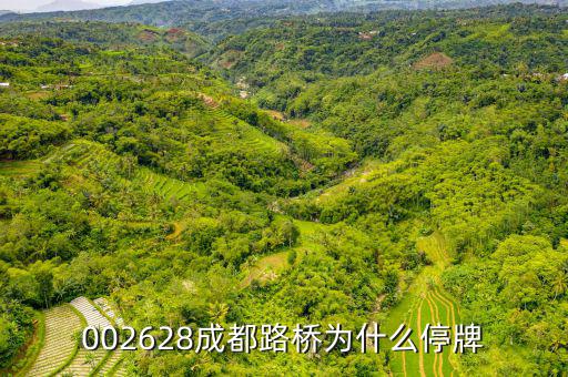 成都路橋今天什么情況，今天早成都等路橋的航班有沒有停航