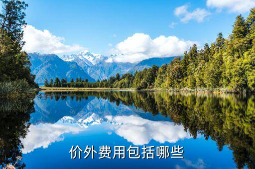 政府性基金是什么意思，何為政府性資金國有企業(yè)投資時其資本金部分算不算政府資金