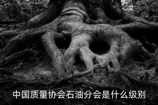 中國質量協會石油分會是什么級別