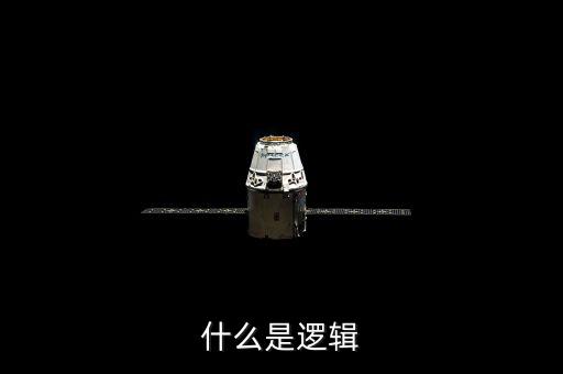 邏輯是什么，什么是邏輯