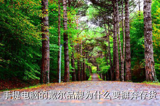 戴爾用信息代替庫存的后果是什么，我的筆記本電腦是DELL的前幾天買的人家二手貨他把系統(tǒng)的信