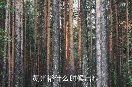 黃光裕什么時候出獄，黃光裕什么時候出獄